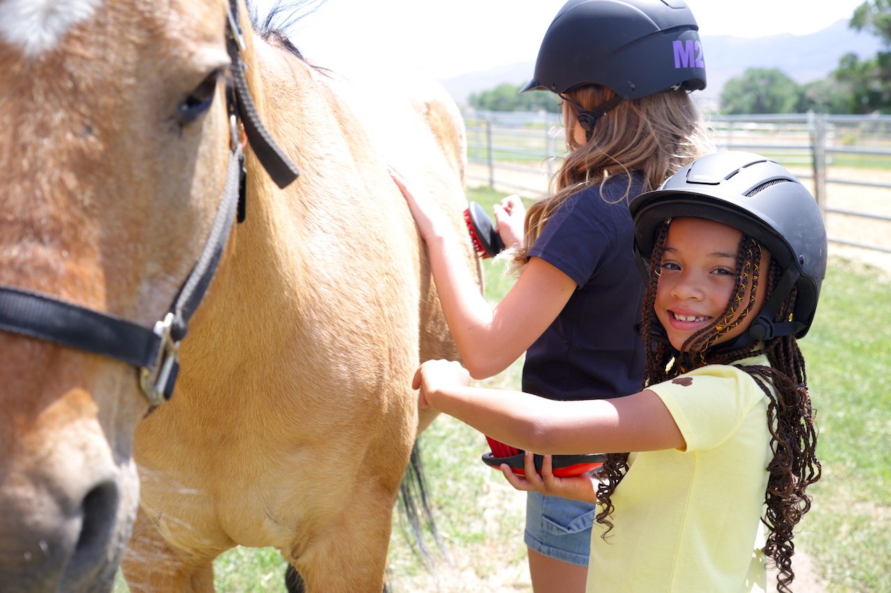 Our Amazon Wishlist for the Barn